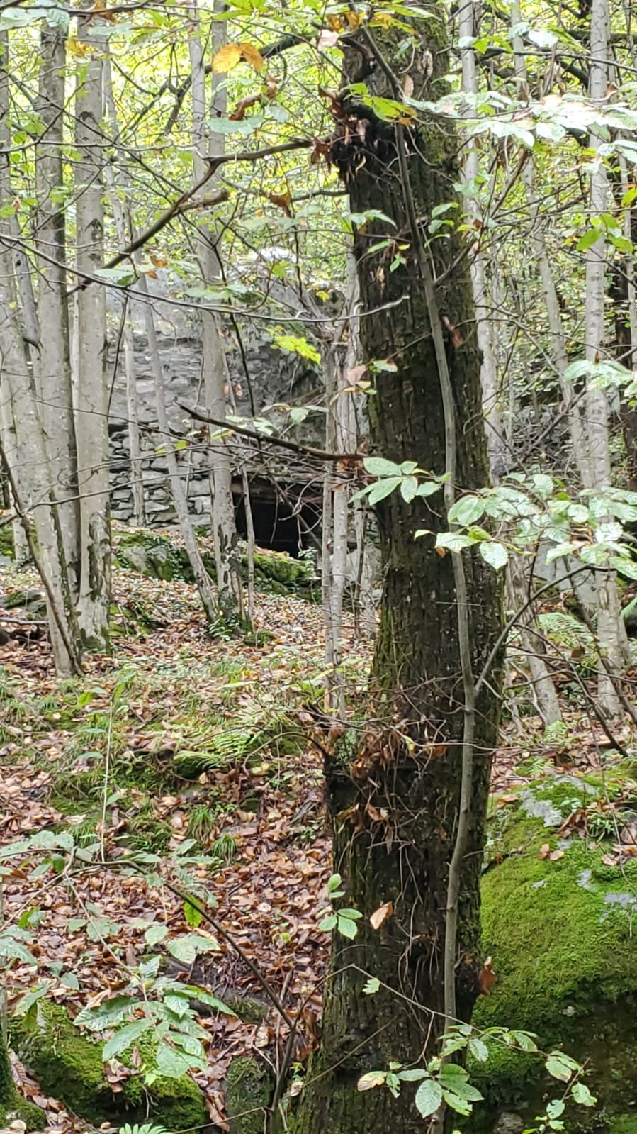 La grotta in sasso nel bosco della proprietà